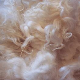 Wool Preparation